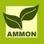 Ammon